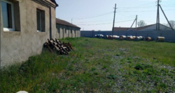 ������ ����������� ��������� ���� 7