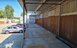 ��������� ��������� ��������� ���� 8