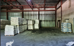 ��������� ��������� ��������� ���� 4