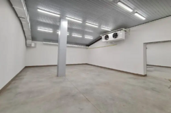 ��������� ������ �����������, ������������, ������� ���� 4