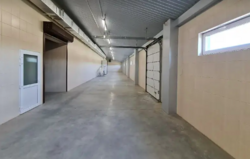 ��������� ������ �����������, ������������, ������� ���� 5