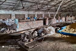 ������ ����������� ��������� ���� 10