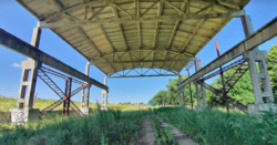 ��������� ������ �����������, �����������, ������� ��������, ���������� ���� 5