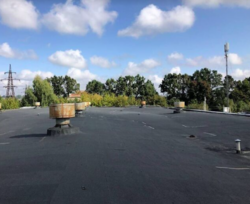 Продается объект Хмельницкая, Хмельницкий, Раково, Чорновола, 155/1 фото 16 Продается объект Хмельницкая, Хмельницкий, Раково, Чорновола, 155/1 фото 16