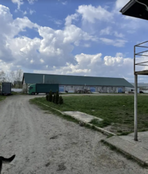 ��������� ������ �����������, �����������, ������, �������� ���� 3