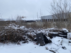 ��������� ������ �����������, �����������, ����� �����, ���������, 155 ���� 20