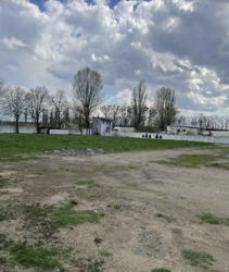 ��������� ������ �����������, �����������, ������, �������� ���� 6