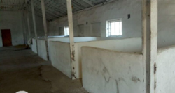 ������ ����������� ��������� ���� 5