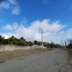 ������ ������ � ���������� �� �������������� ������� �� ��� ���� 7