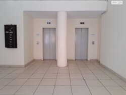 ��������� ���� ������ �������, 51, ³�����, ³�������, ���������� ���� 6