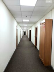 ��������� ���� ������ �������, 51, ³�����, ³�������, ���������� ���� 5