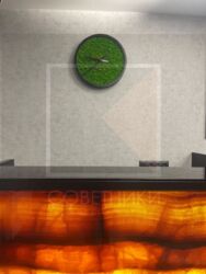 ��������� ���� ���������, �����, �������������, ������� ����, ���������� ��., 49, �. ���������� ��� ���� 13