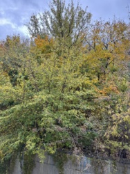 Продаж офісу Поділ, Воздвиженка, вулиця Кожум'яцька 12В фото 5 Продаж офісу Поділ, Воздвиженка, вулиця Кожум'яцька 12В фото 5