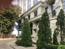   400 ..   'Diamond Hill'  11  4