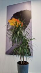 Продаж офіса в БЦ 118 Tower фото 8 Продаж офіса в БЦ 118 Tower фото 8