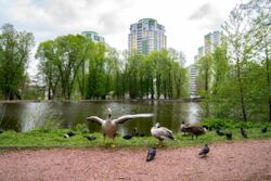 Продається офісне приміщення фото 9 Продається офісне приміщення фото 9