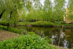 Продається офісне приміщення фото 8 Продається офісне приміщення фото 8