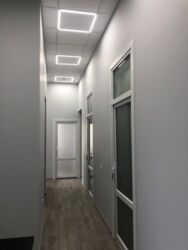   , ,   ., 17/1, .    6