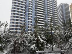 ������� ���������� ��������� 177 �² � �� ������� ����� 2� � ������� � ���� ���� 1