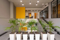   Borychiv (40572) . ,  , .  ҳ, 35.  11