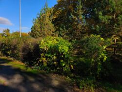 ����������� ��-��, 87. ������ �� ������������� 1000 ��.�. � ����� 31 ����� ���� 4