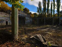 ����������� ��-��, 87. ������ �� ������������� 1000 ��.�. � ����� 31 ����� ���� 11