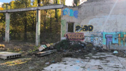 ����������� ��-��, 87. ������ �� ������������� 1000 ��.�. � ����� 31 ����� ���� 16