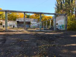 ����������� ��-��, 87. ������ �� ������������� 1000 ��.�. � ����� 31 ����� ���� 5