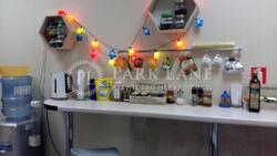 ��������� ���� ���, ���������� ���� 11