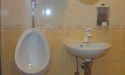 ��������� ���� �����������, �����������, �����, ��������� ���� 11