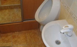 ��������� ���� �����������, �����������, �����, ��������� ���� 12