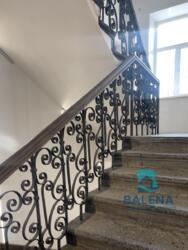 ��������� ���� ѳ����� �������� ���. (������), 13, ���, ������������� ���� 12