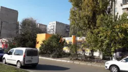 �������-������ ��������� ���� 12