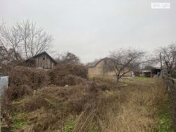 ��������� ������� ����, ������������� ���� 7