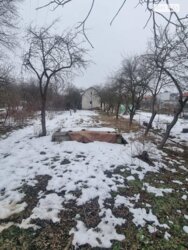 ��������� ������� �����-���������, �����-����������� ���� 2