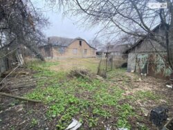 ��������� ������� ����, ������������� ���� 3