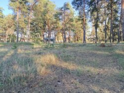 ������ ������� � ����� ���� ���� ���������� ������ ���� 2