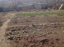 Продам участок 10 соток в Хорошево фото 7 Продам участок 10 соток в Хорошево фото 7