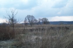 ������ ������� �.���������� ��������� ����� ���� 4