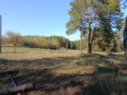 ������ ������� � ����� ���� ���� ���������� ������ ���� 4