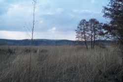 ������ ������� �.���������� ��������� ����� ���� 2