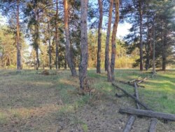 ������ ������� � ����� ���� ���� ���������� ������ ���� 1