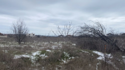 ��������� ������� � ���� ��� ������������� ����� � ��������� ���� 5