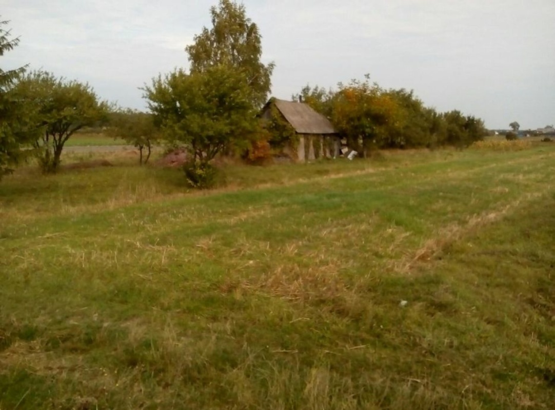 Продається ділянка Львівська, Радеховський фото 1 Продається ділянка Львівська, Радеховський фото 1