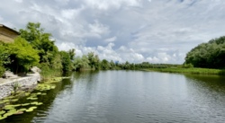 На березі р.Псел 30 соток фото 2 На березі р.Псел 30 соток фото 2