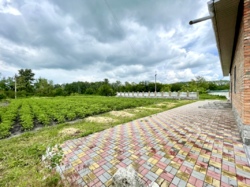 На березі р.Псел 30 соток фото 4 На березі р.Псел 30 соток фото 4