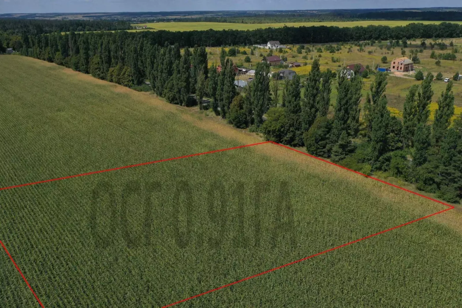 Продаж ділянки 0.91 ГА ОСГ Забір'я фото 1 Продаж ділянки 0.91 ГА ОСГ Забір'я фото 1