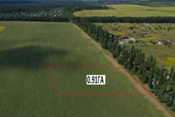   0.91   '  3