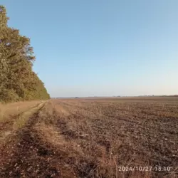      10   1