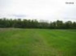 Продається ділянка Київська, Бориспільський, Кучаків фото 3 Продається ділянка Київська, Бориспільський, Кучаків фото 3